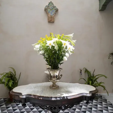 Casa Portus Gaditanus S Xviii Patio Andaluz